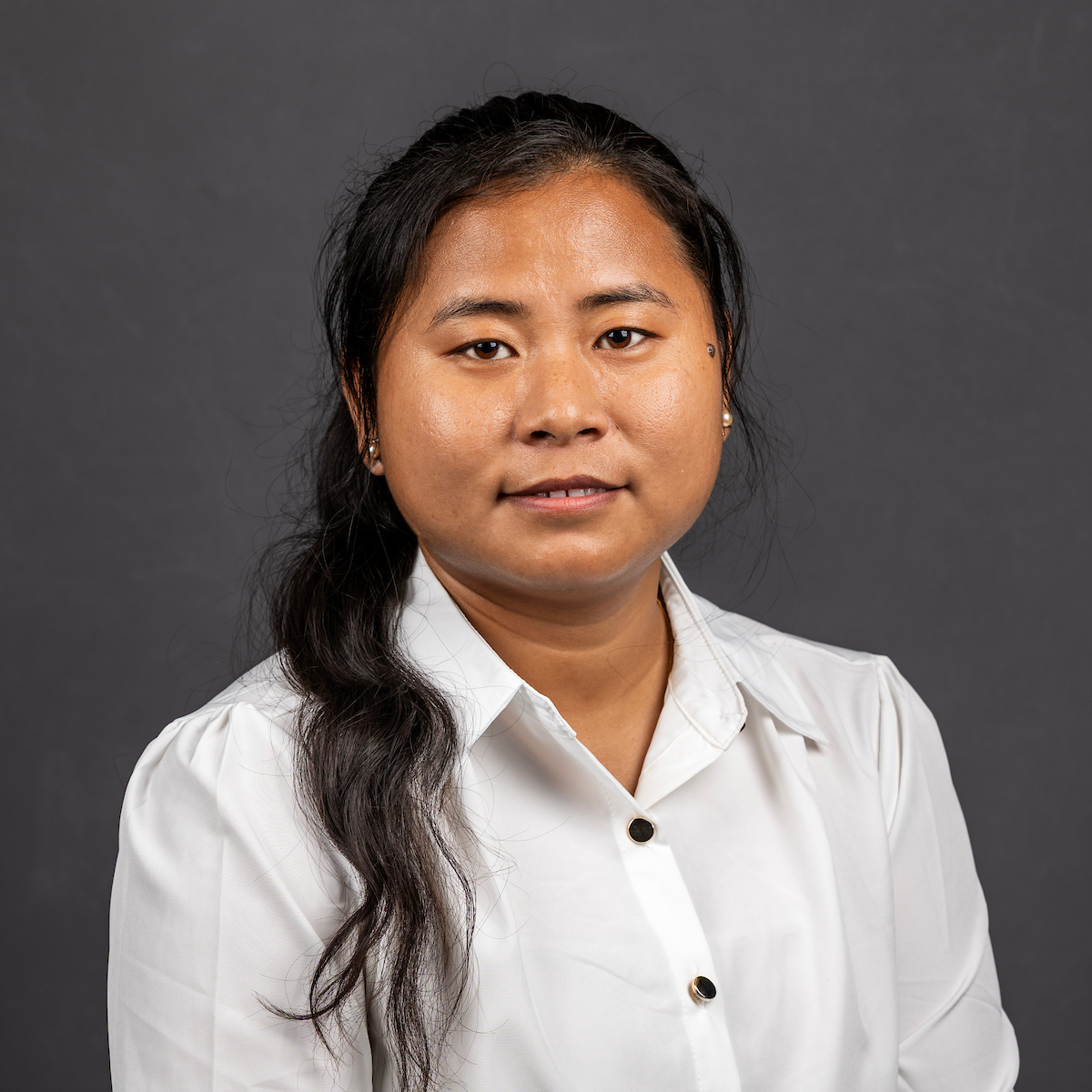 Pausuidaule Pausuidaule